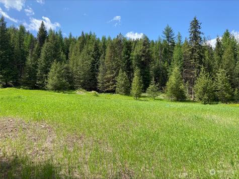0 W Fork Road Wauconda WA 98859