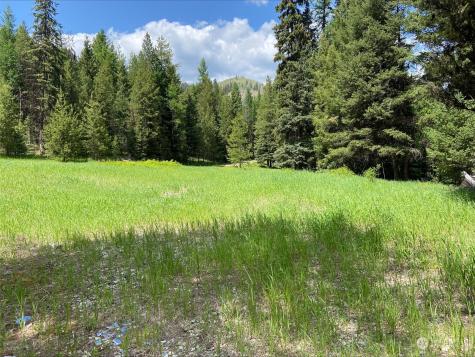 0 W Fork Road Wauconda WA 98859