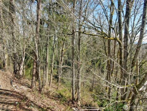 118 90th Avenue NE Kirkland WA 98034