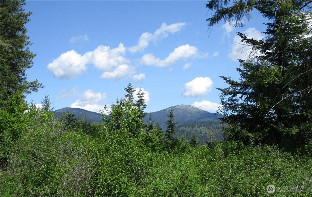 18 Miner Road Mead WA 99021