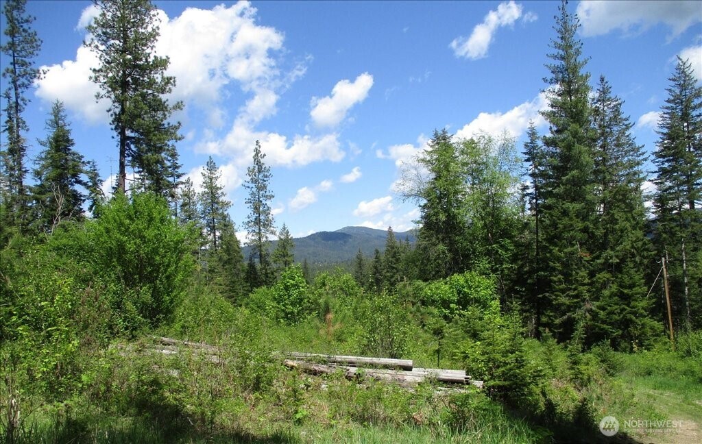 18 Miner Road Mead WA 99021
