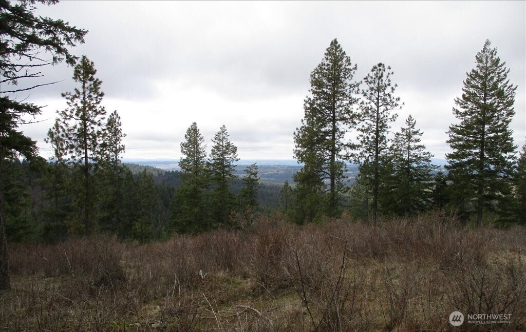 18 Miner Road Mead WA 99021