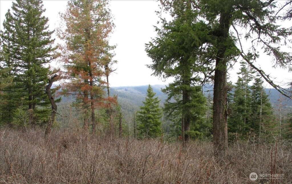 18 Miner Road Mead WA 99021