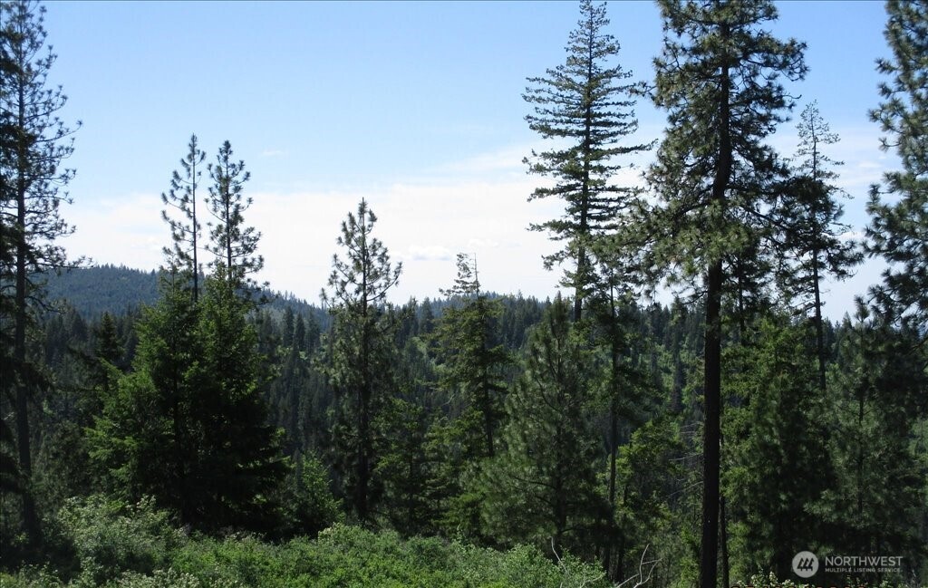 18 Miner Road Mead WA 99021