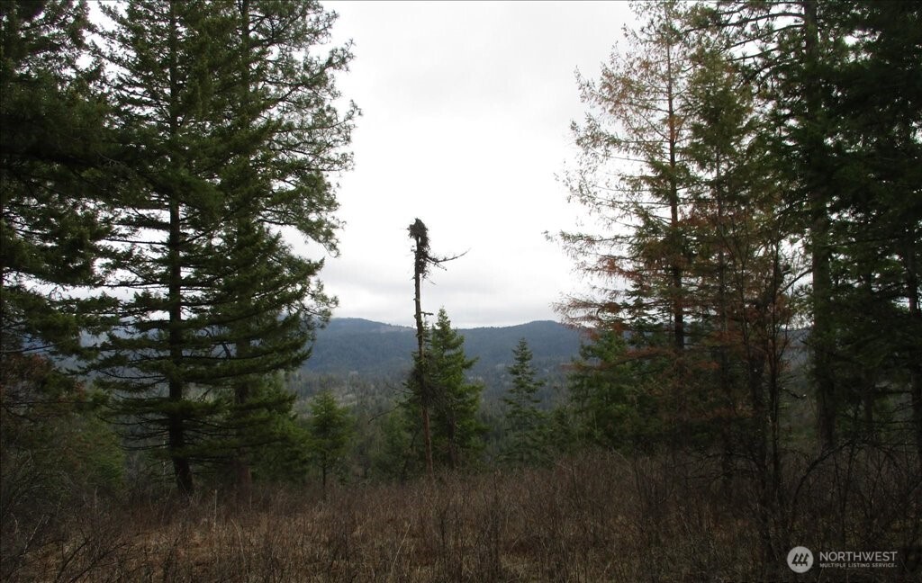 18 Miner Road Mead WA 99021