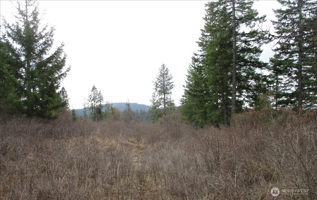 18 Miner Road Mead WA 99021