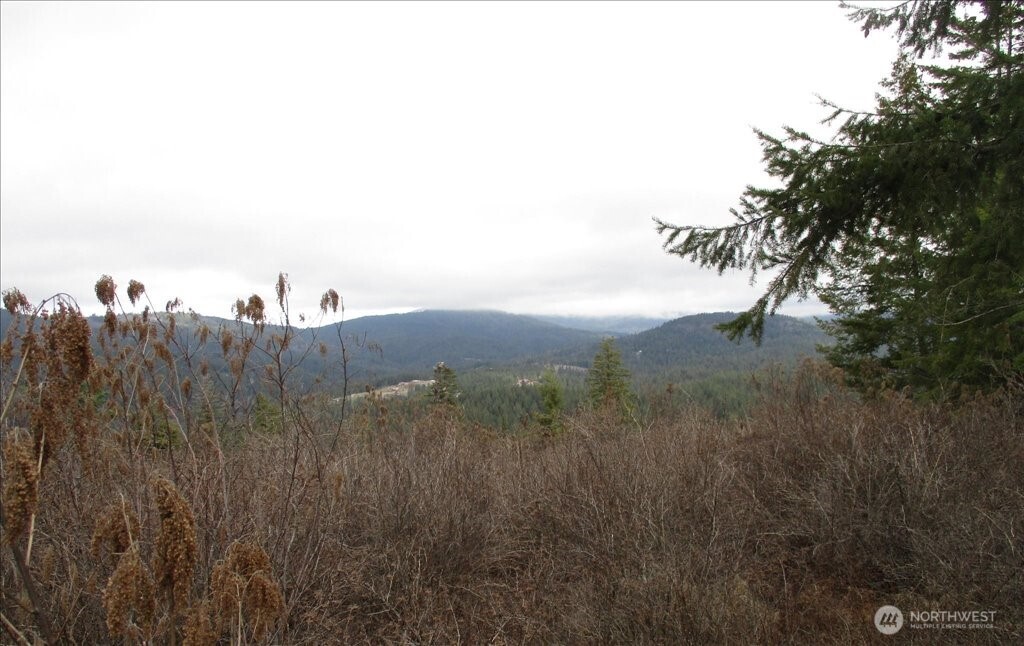 18 Miner Road Mead WA 99021