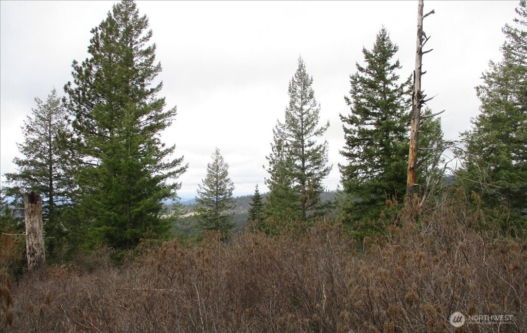 18 Miner Road Mead WA 99021