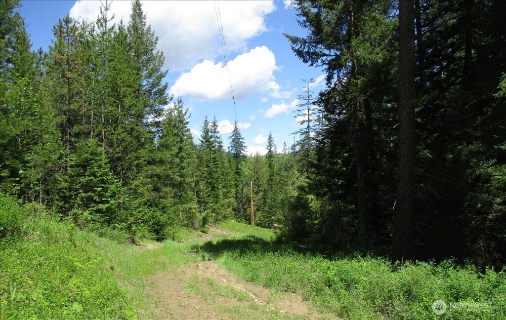 18 Miner Road Mead WA 99021
