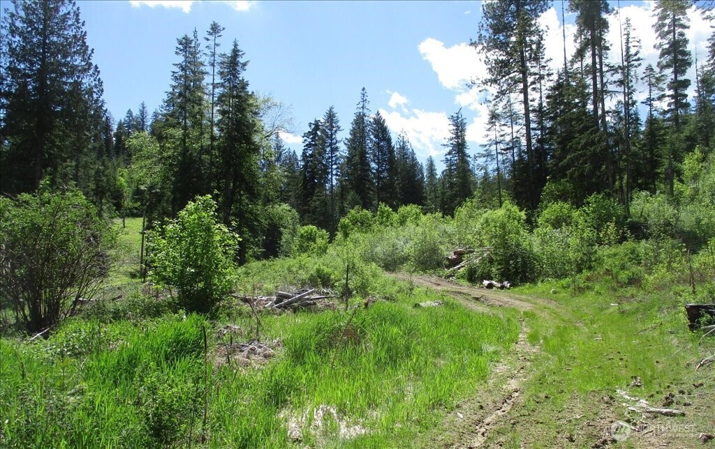 18 Miner Road Mead WA 99021