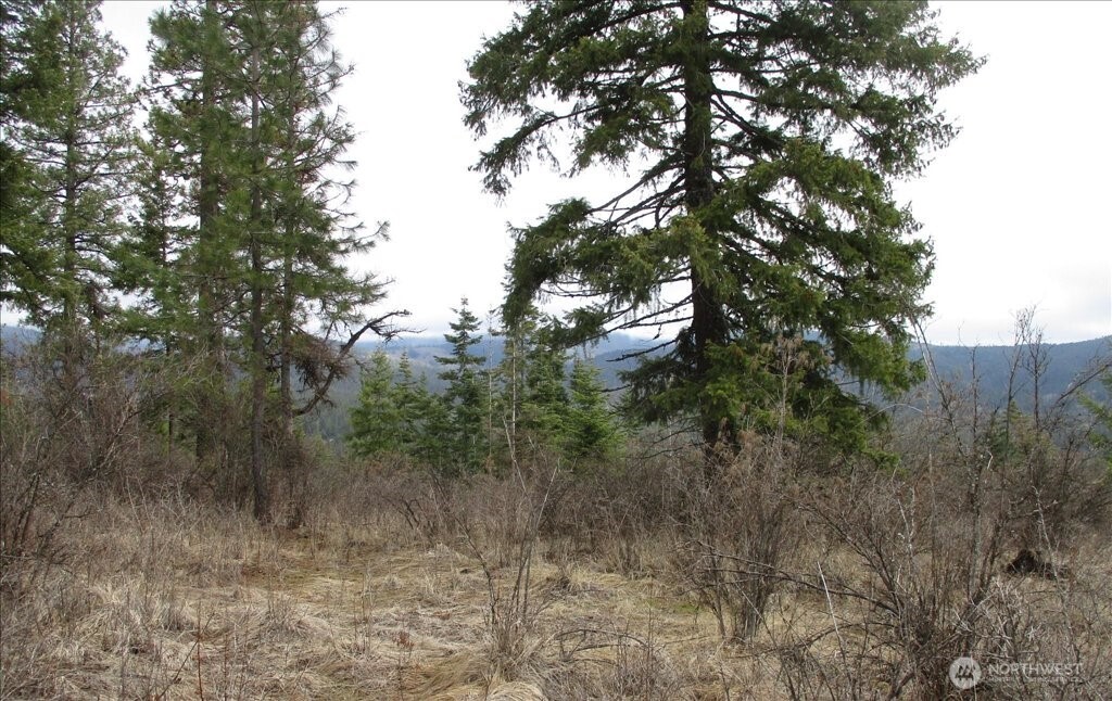 18 Miner Road Mead WA 99021