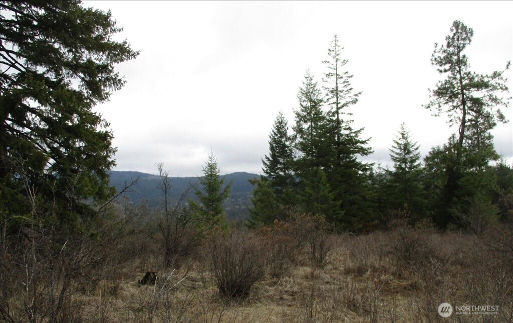 18 Miner Road Mead WA 99021