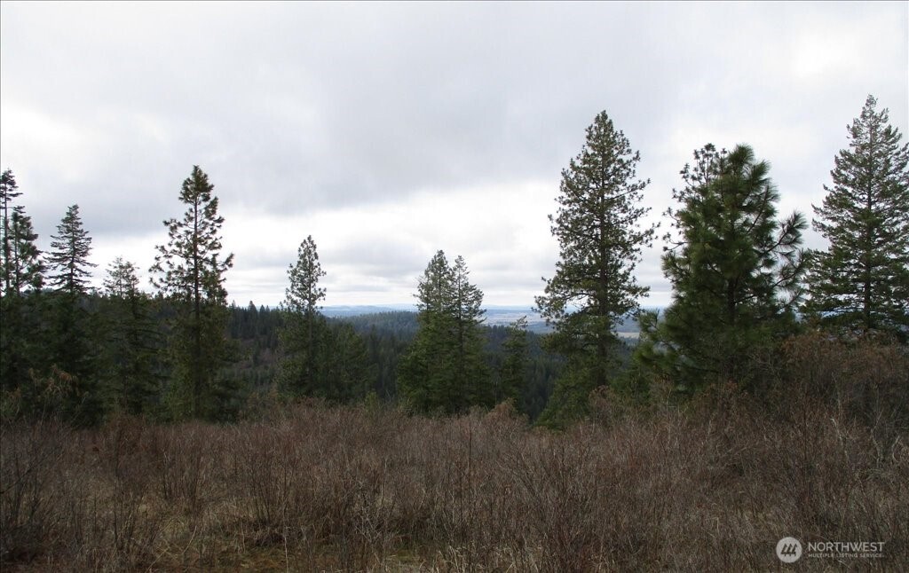 18 Miner Road Mead WA 99021
