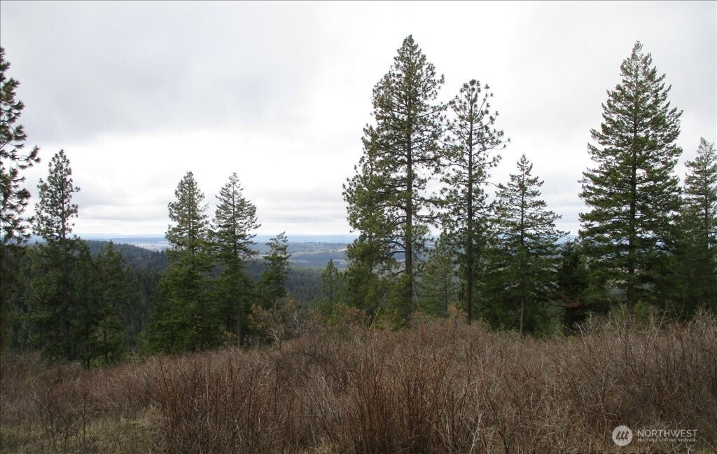 18 Miner Road Mead WA 99021
