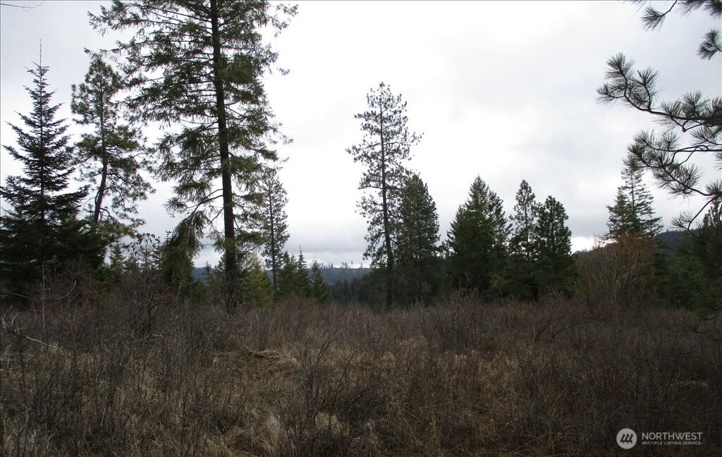 18 Miner Road Mead WA 99021