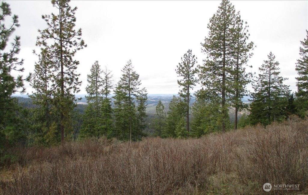 18 Miner Road Mead WA 99021
