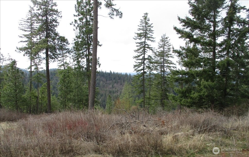 18 Miner Road Mead WA 99021
