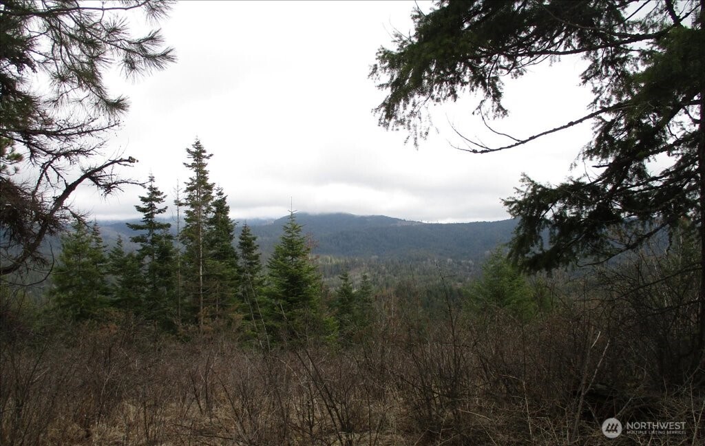 18 Miner Road Mead WA 99021