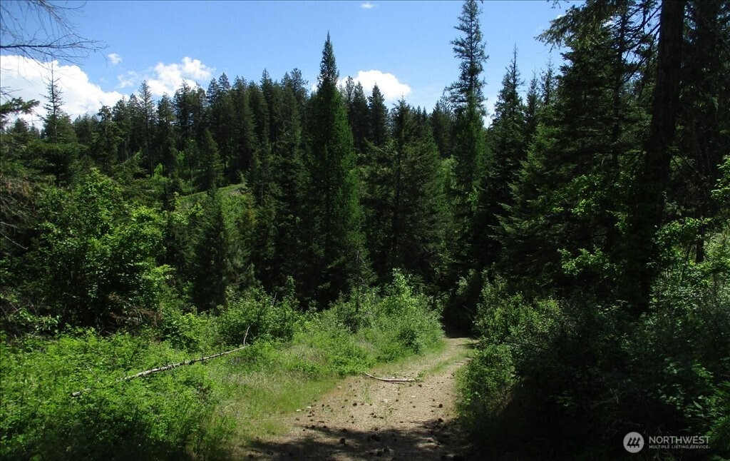18 Miner Road Mead WA 99021