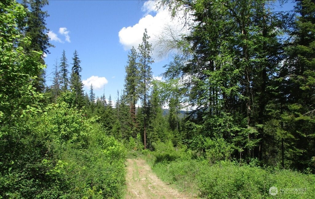 18 Miner Road Mead WA 99021