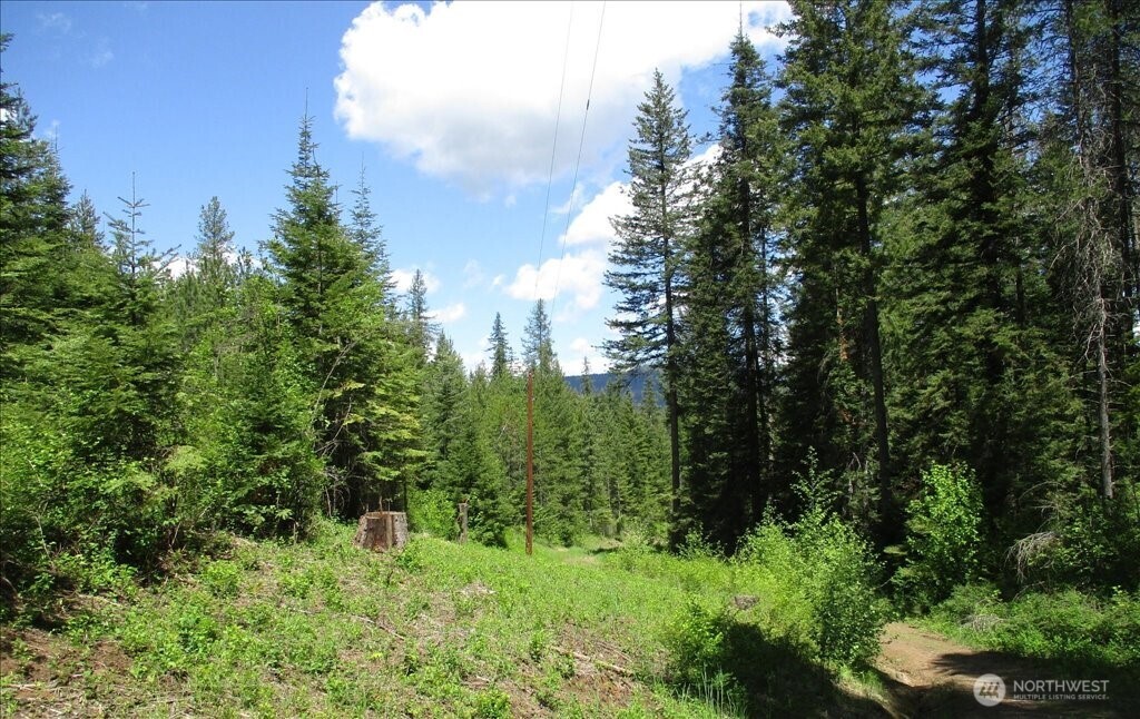 18 Miner Road Mead WA 99021