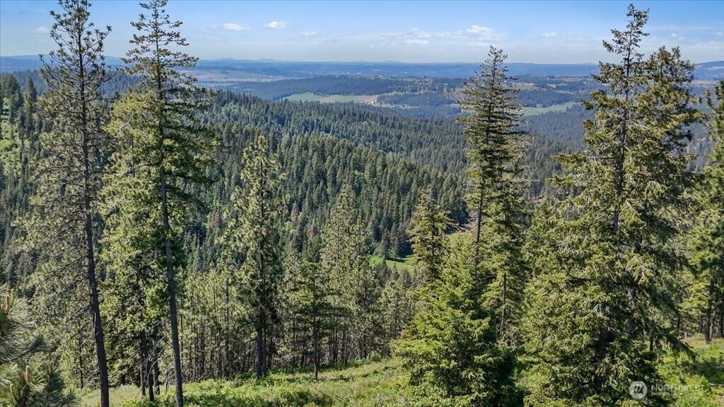 18 Miner Road Mead WA 99021