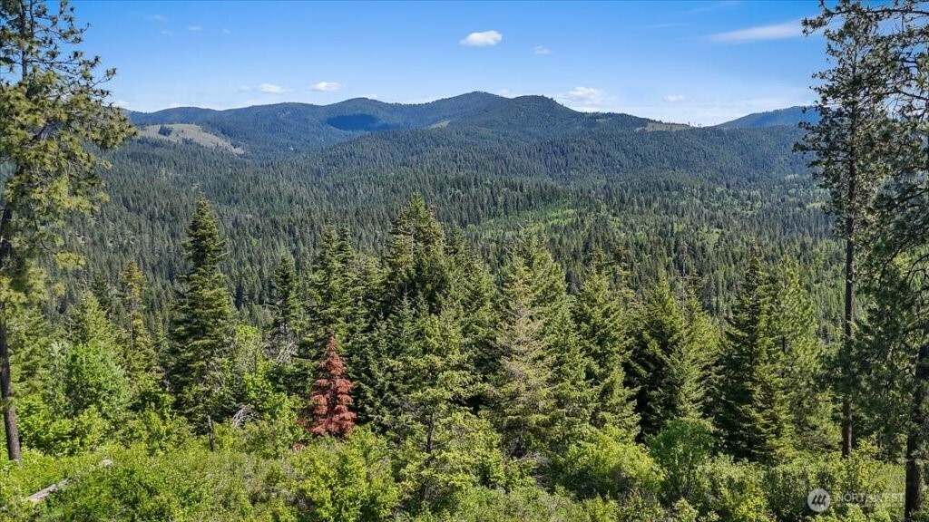 18 Miner Road Mead WA 99021