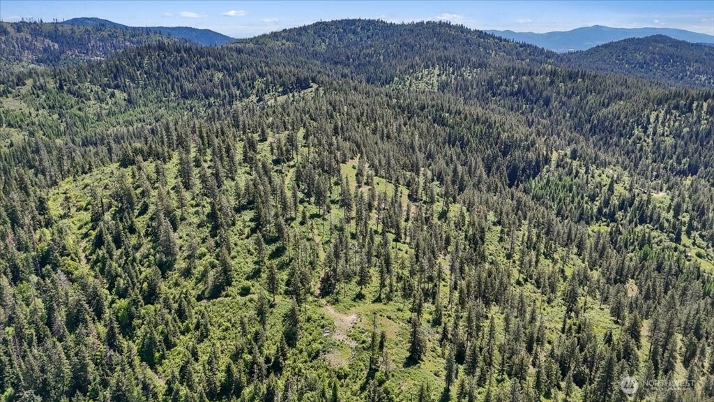 18 Miner Road Mead WA 99021