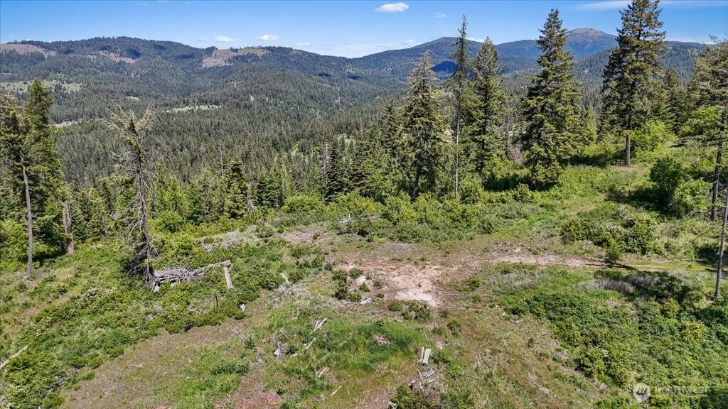 18 Miner Road Mead WA 99021
