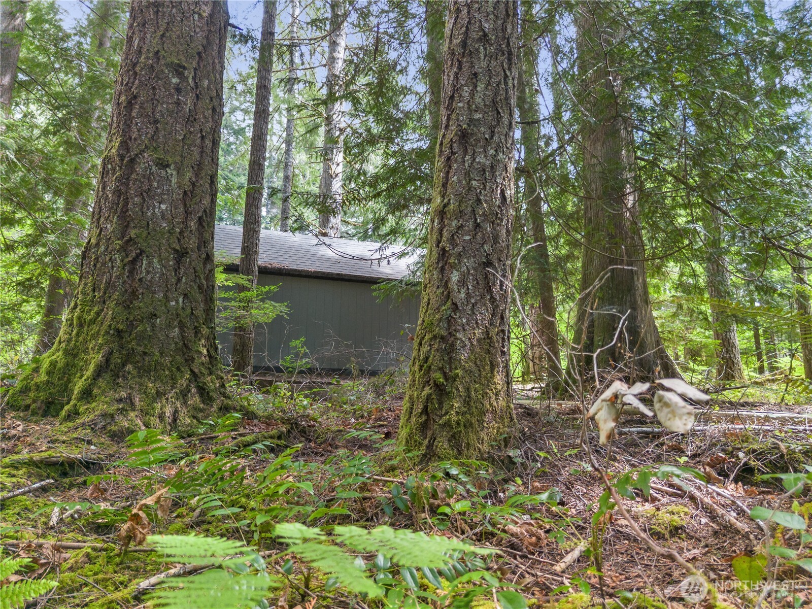 430 N Potlatch Drive N Hoodsport WA 98548