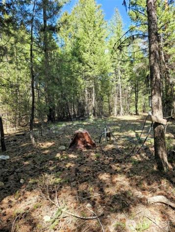 168 Prior Loop Road Oroville WA 98844
