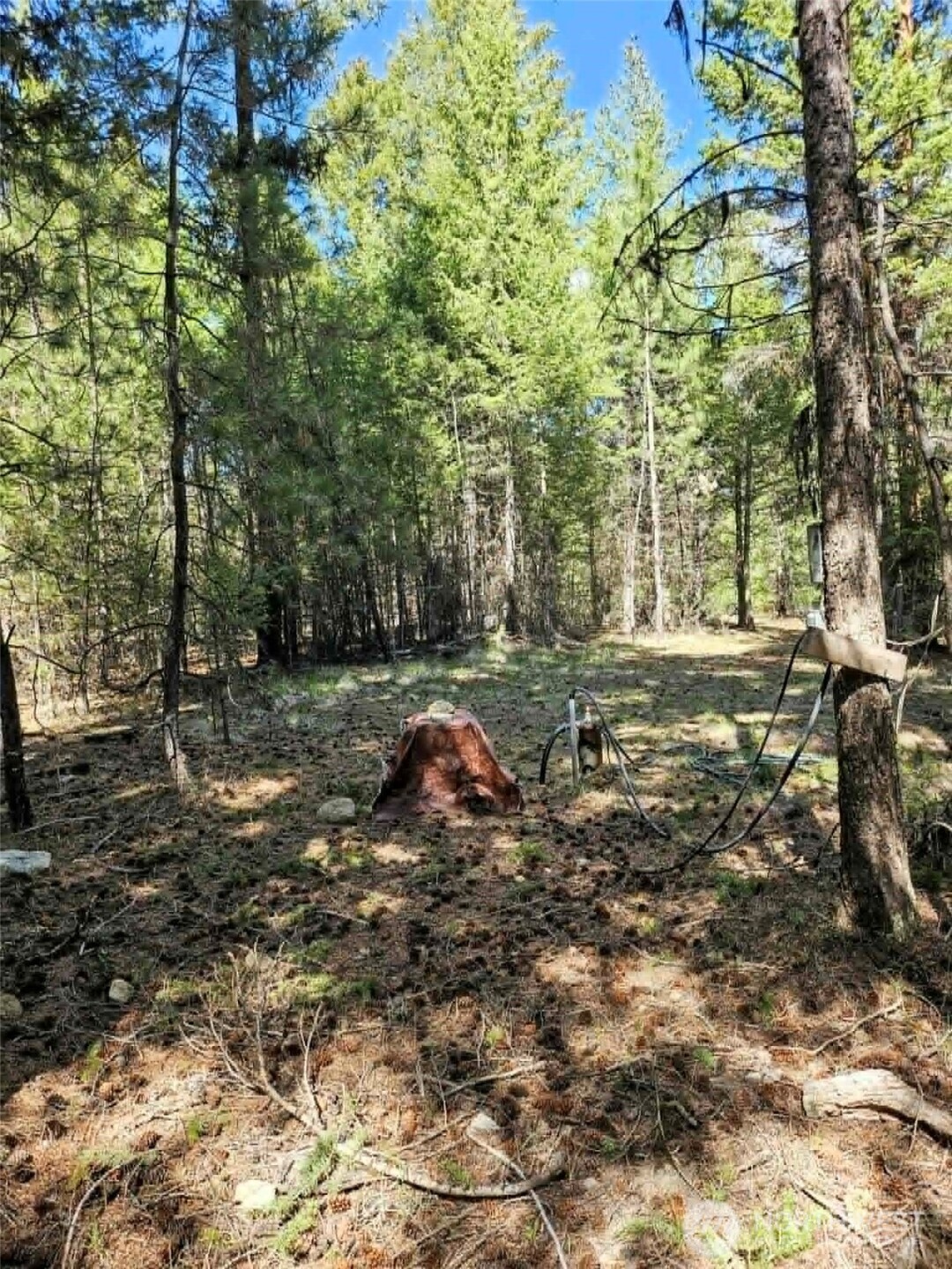 168 Prior Loop Road Oroville WA 98844