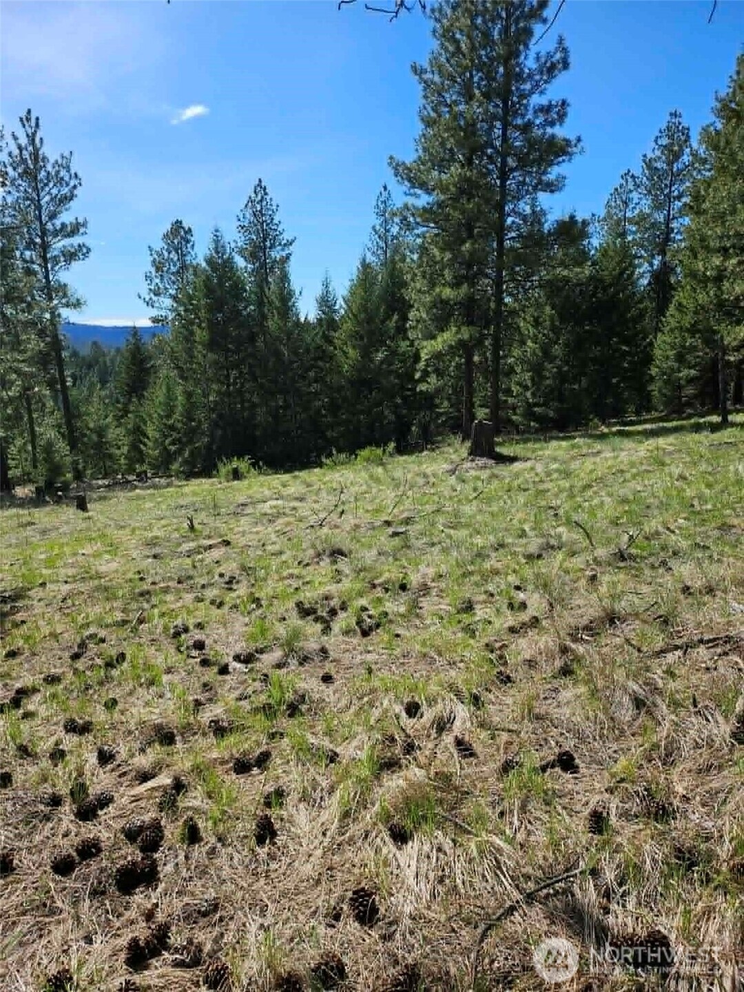 168 Prior Loop Road Oroville WA 98844