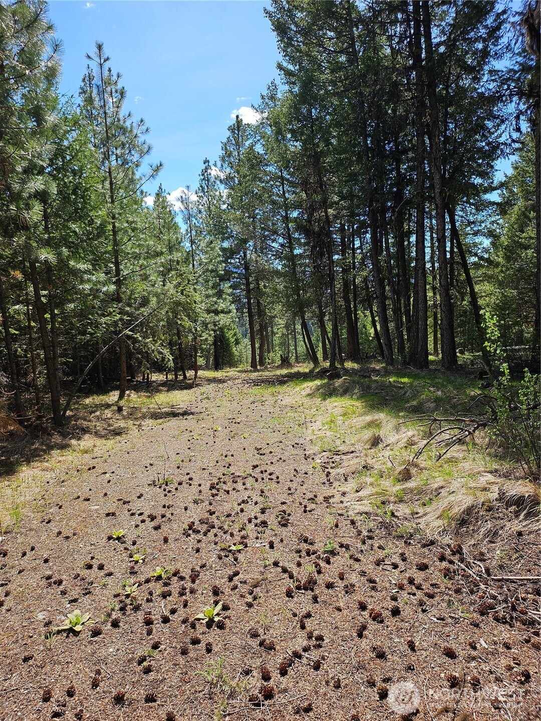 168 Prior Loop Road Oroville WA 98844