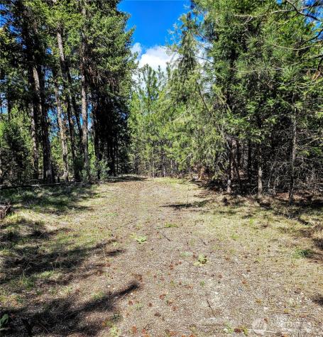 168 Prior Loop Road Oroville WA 98844