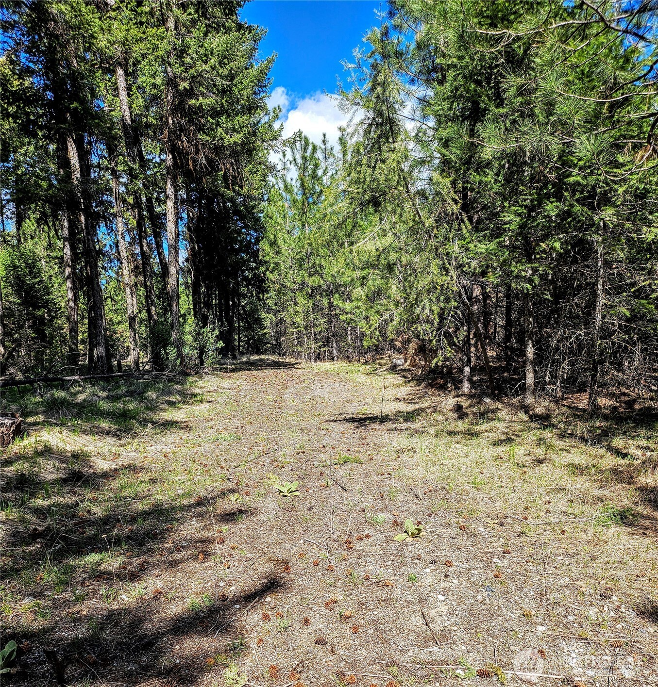 168 Prior Loop Road Oroville WA 98844