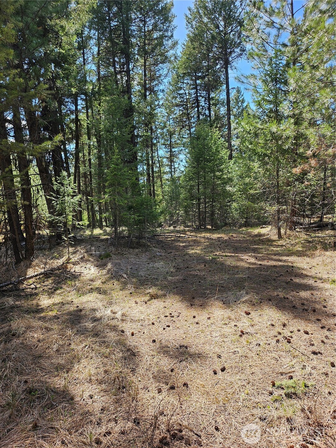 168 Prior Loop Road Oroville WA 98844