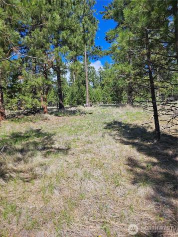 168 Prior Loop Road Oroville WA 98844