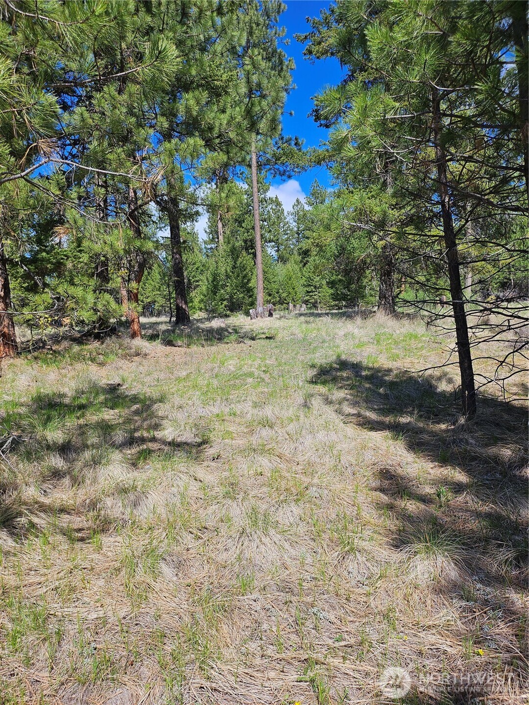 168 Prior Loop Road Oroville WA 98844