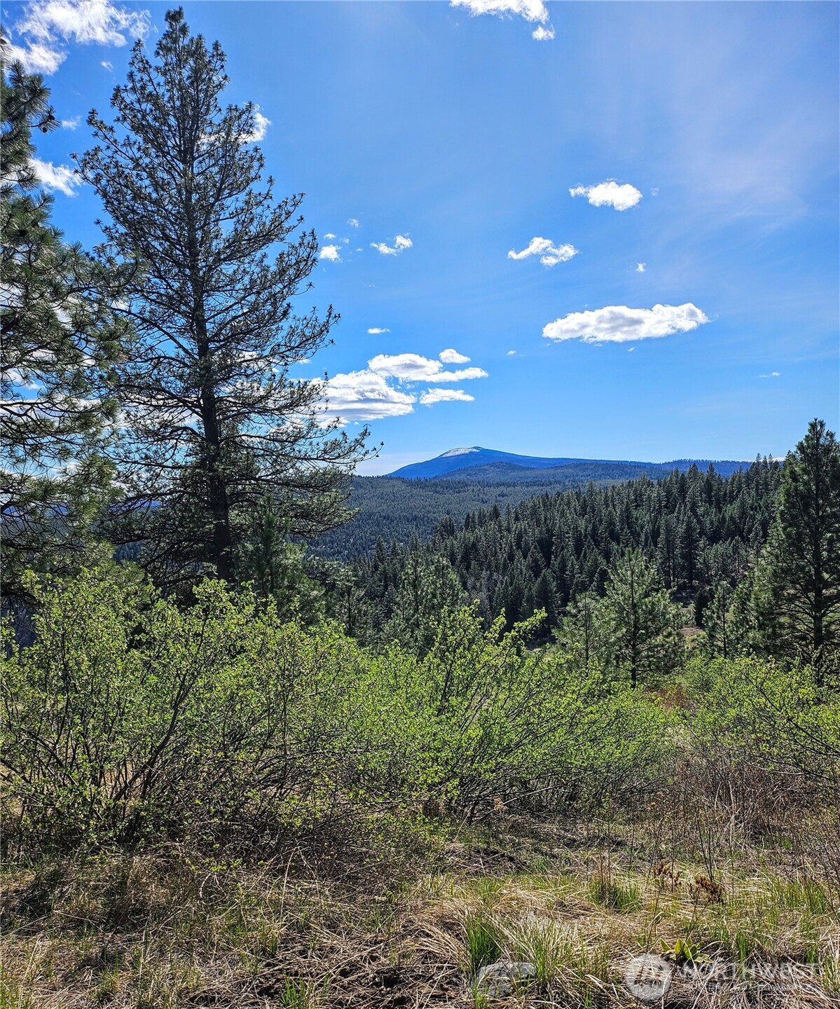 168 Prior Loop Road Oroville WA 98844