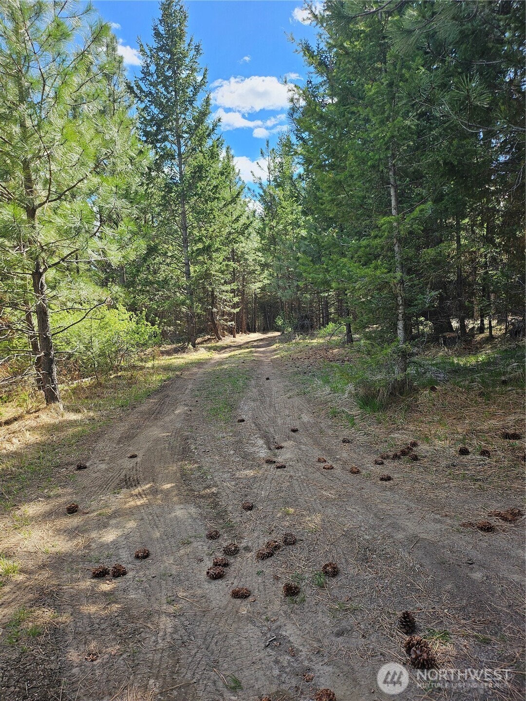 168 Prior Loop Road Oroville WA 98844