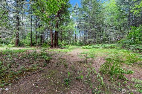 16405 84th Street NW Lakebay WA 98349