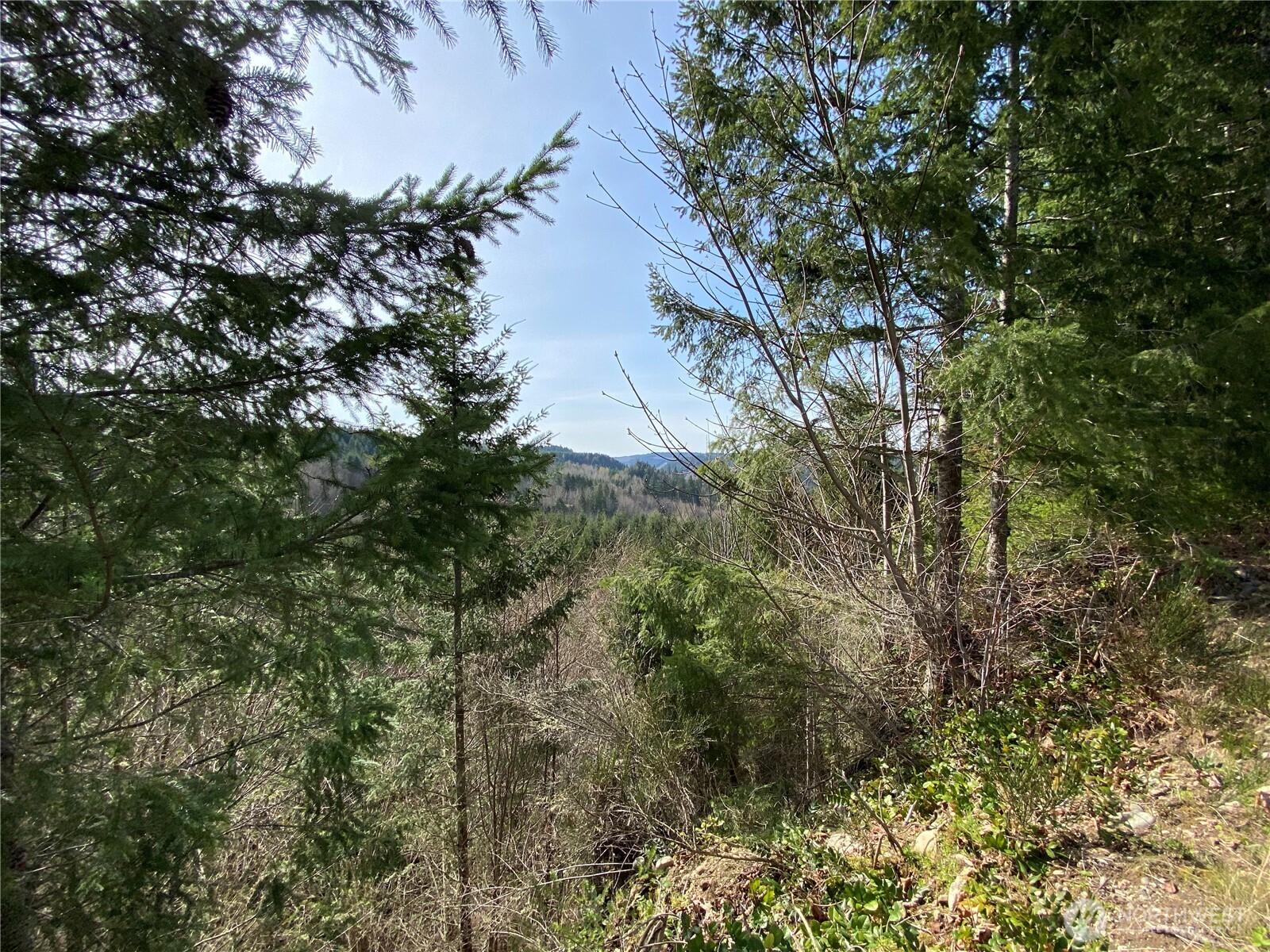 0 250th Avenue E Orting WA 98360