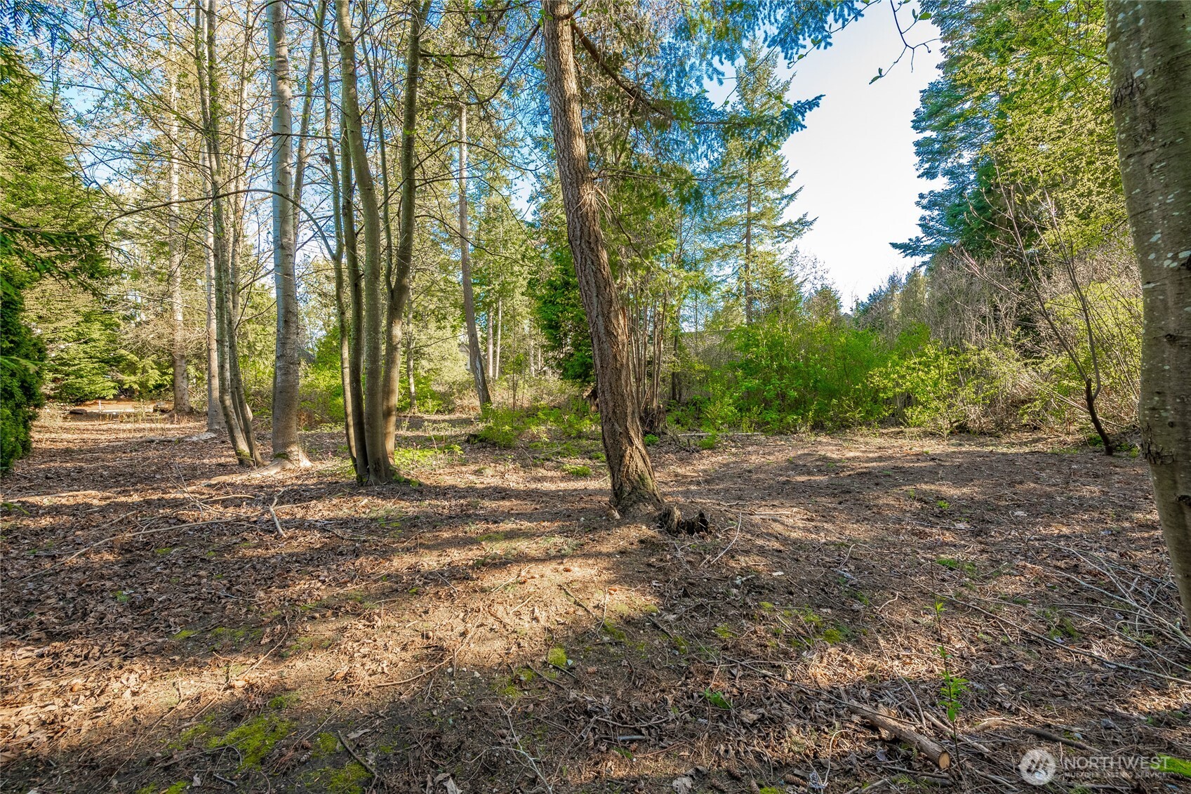 8647 Great Horned Owl Lane Blaine WA 98230