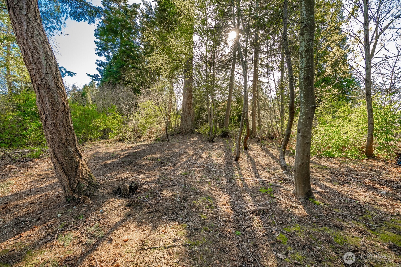 8647 Great Horned Owl Lane Blaine WA 98230