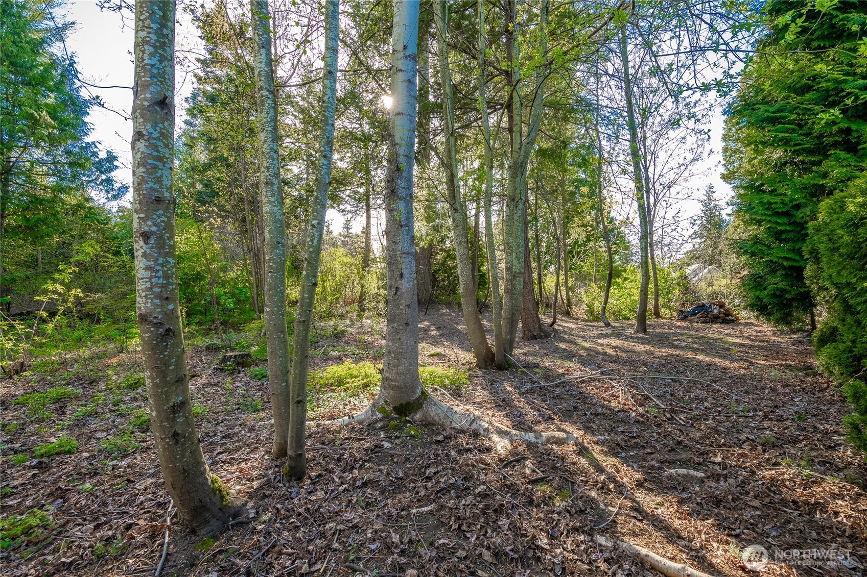 8647 Great Horned Owl Lane Blaine WA 98230