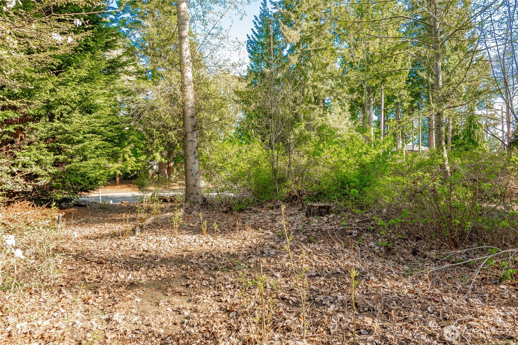 8647 Great Horned Owl Lane Blaine WA 98230