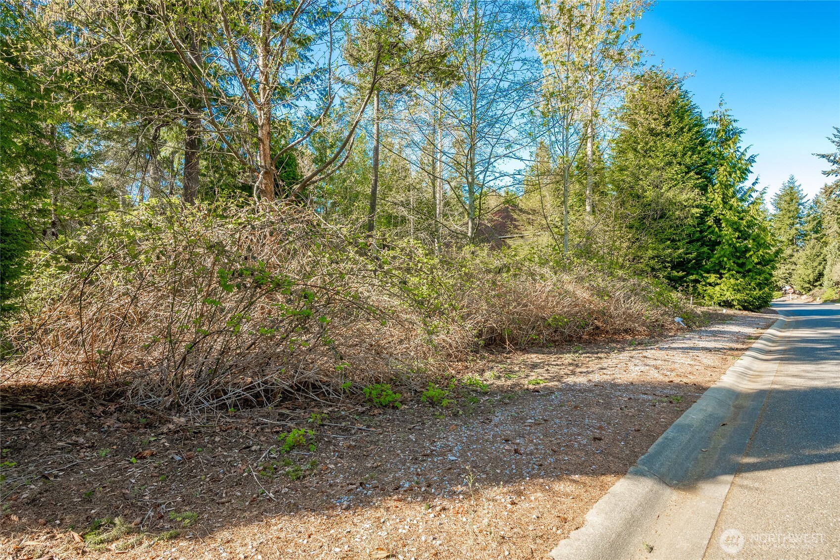 8647 Great Horned Owl Lane Blaine WA 98230