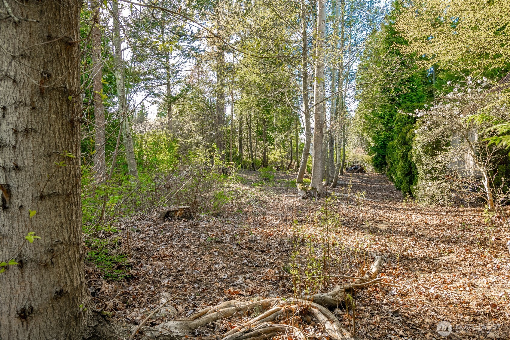 8647 Great Horned Owl Lane Blaine WA 98230