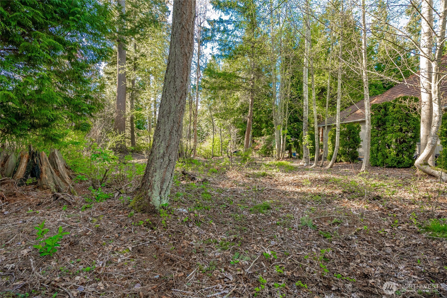 8647 Great Horned Owl Lane Blaine WA 98230